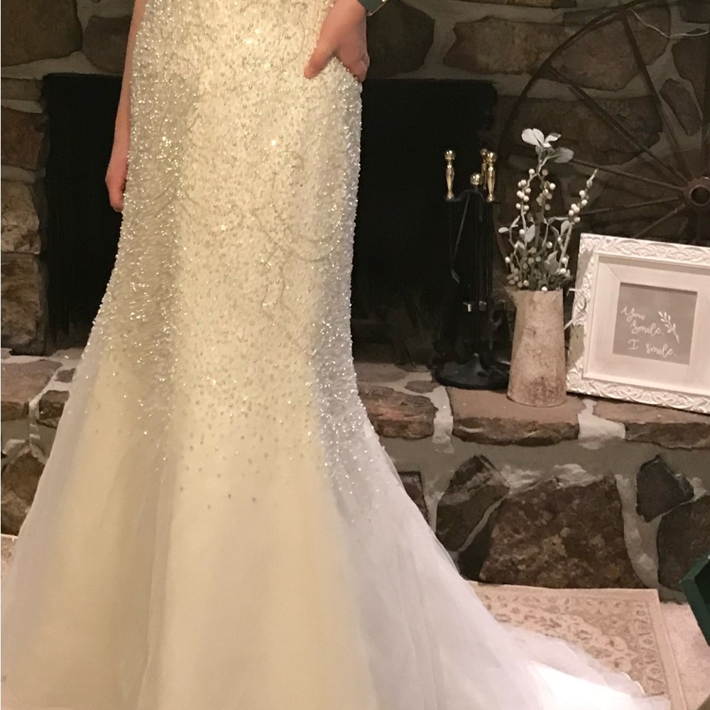 Elegant White Beaded Gown David’s Bridal